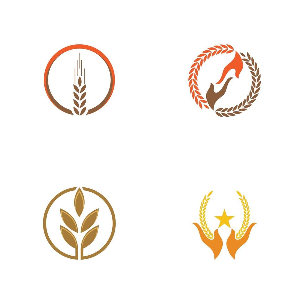 logo di grano modello simbolo vettoriale natura