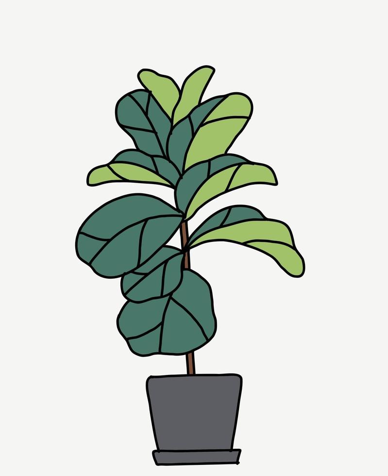 scarabocchiare a mano libera disegno di fiddle leaf albero di fico. vettore