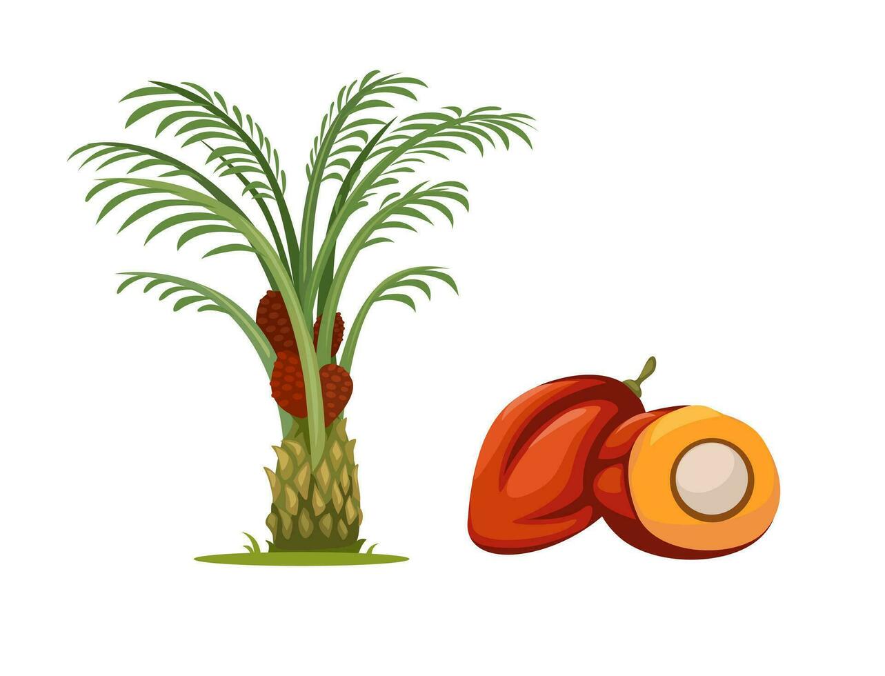 palma olio albero e frutta oggetto impostato illustrazione vettore