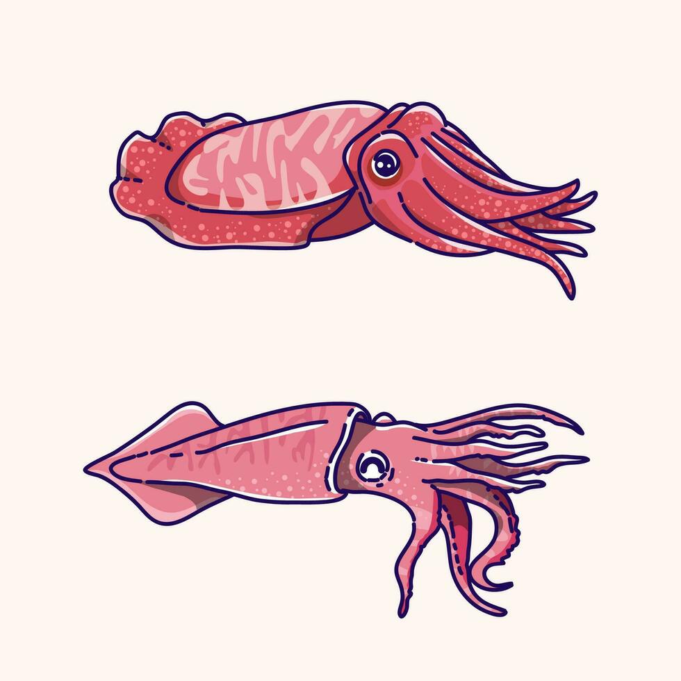 calamaro genere illustrazione vettore