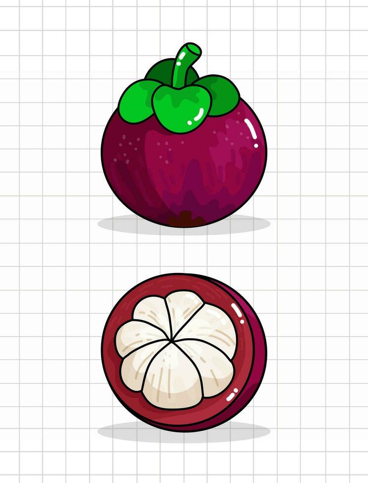 illustrazione vettoriale di frutta mangostano