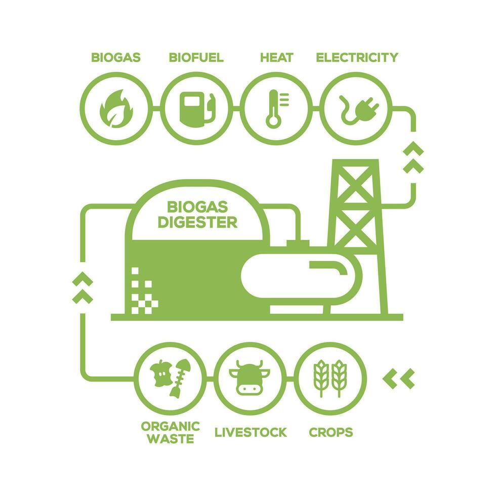 semplice biogas pianta diagramma. biogas produzione stadi, rinnovabile energia e verde ambiente vettore
