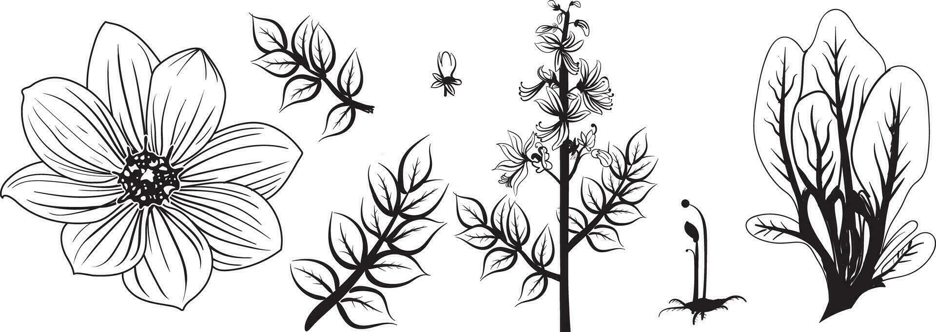 botanico linea arte, floreale ramo e minimalista fiori per logo o tatuaggio. mano disegnato linea nozze erba, elegante le foglie vettore