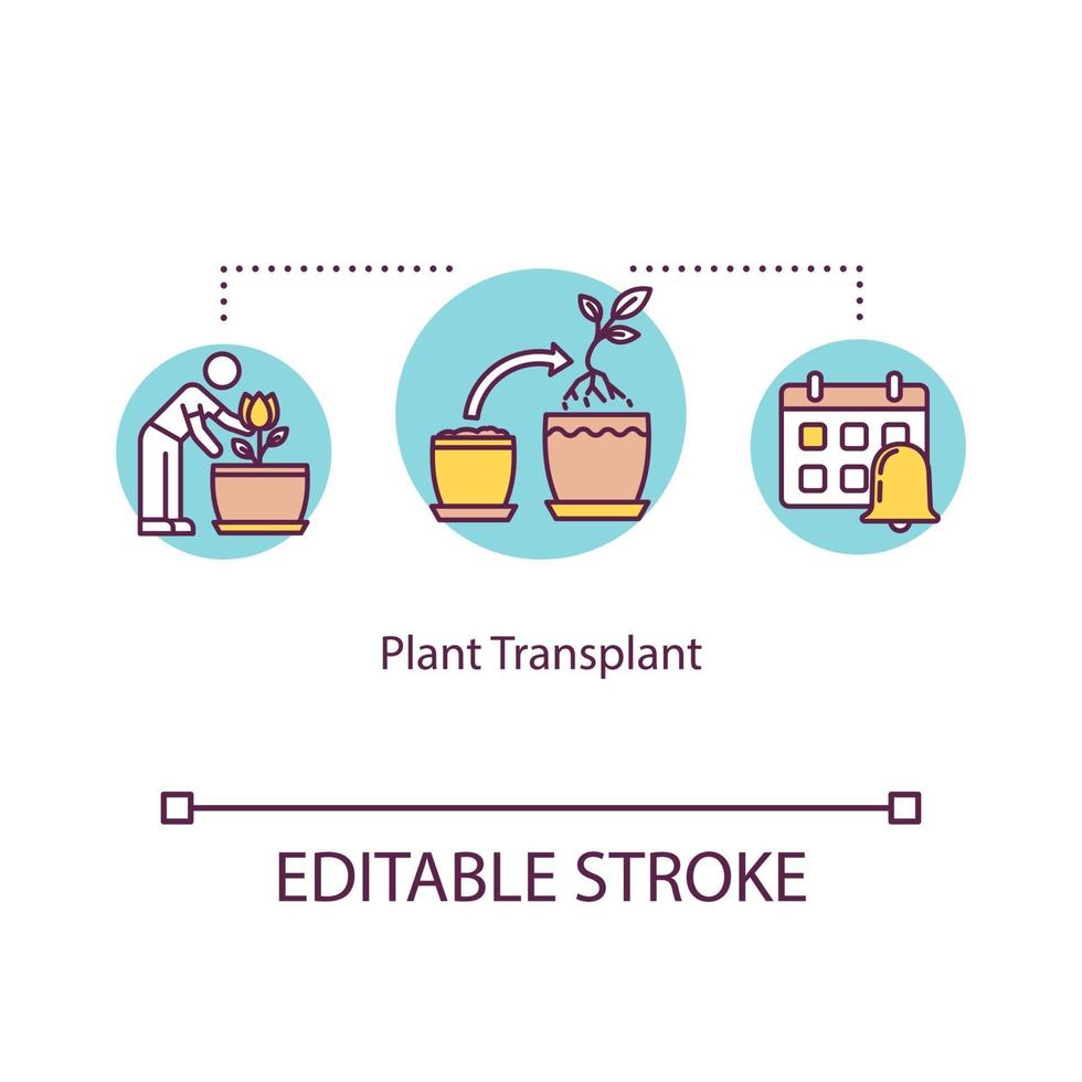 icona del concetto di trapianto di piante vettore