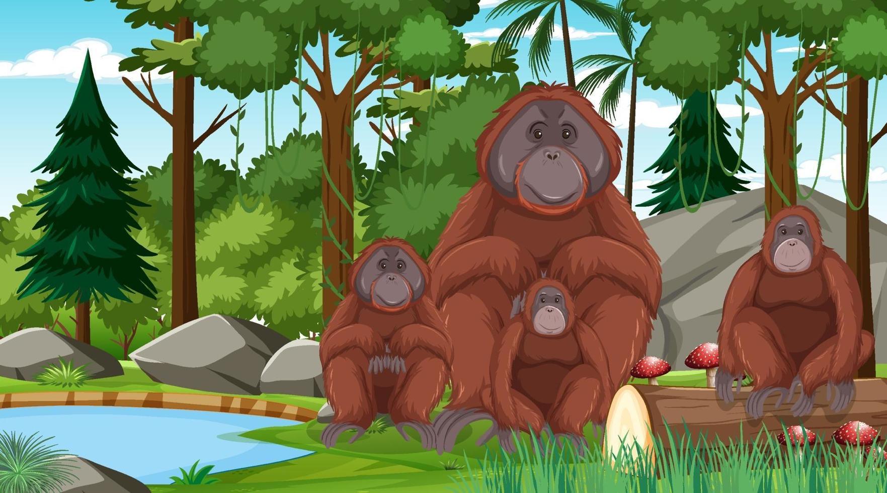 orango nella foresta o nella scena della foresta pluviale con molti alberi vettore