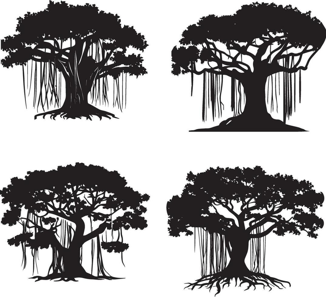 banyan albero vettore silhouette illustrazione