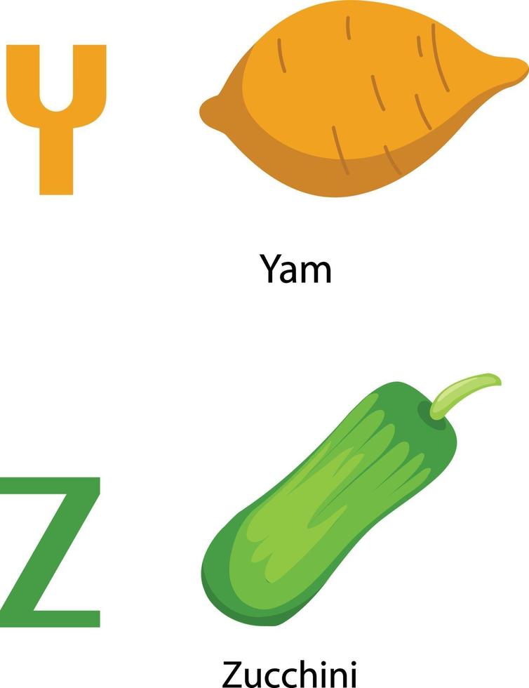 alfabeto yz letter.yam,zucchini .vector vettore