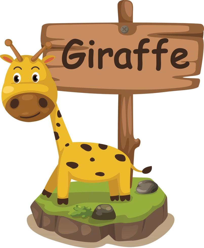 lettera g dell'alfabeto animale per la giraffa vettore