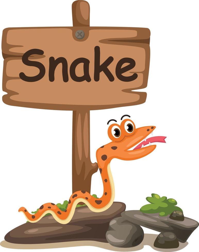 lettera s dell'alfabeto animale per serpente vettore
