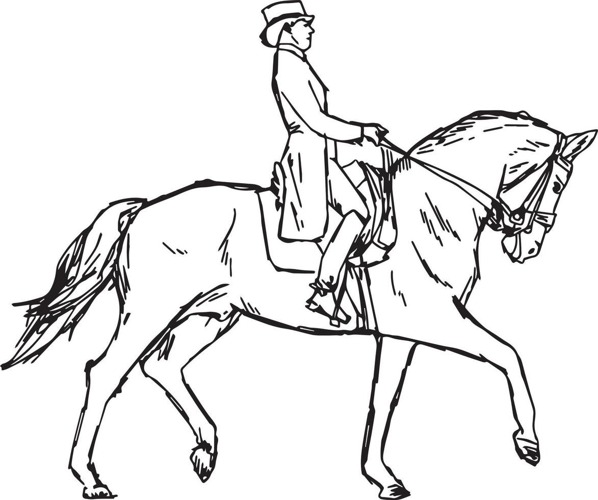 giovane cavaliere uomo a cavallo alla competizione di dressage vettore