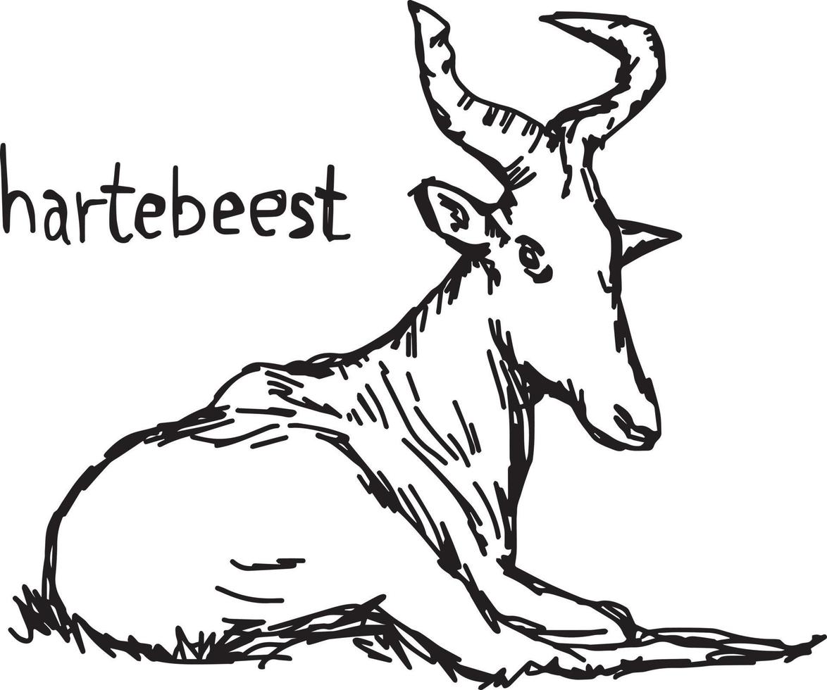 hartebeest - illustrazione vettoriale schizzo disegnato a mano