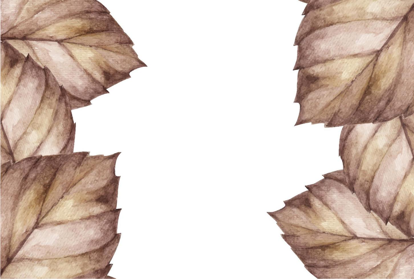 cornice autunnale con foglie di acquerello marrone su sfondo bianco. vettore
