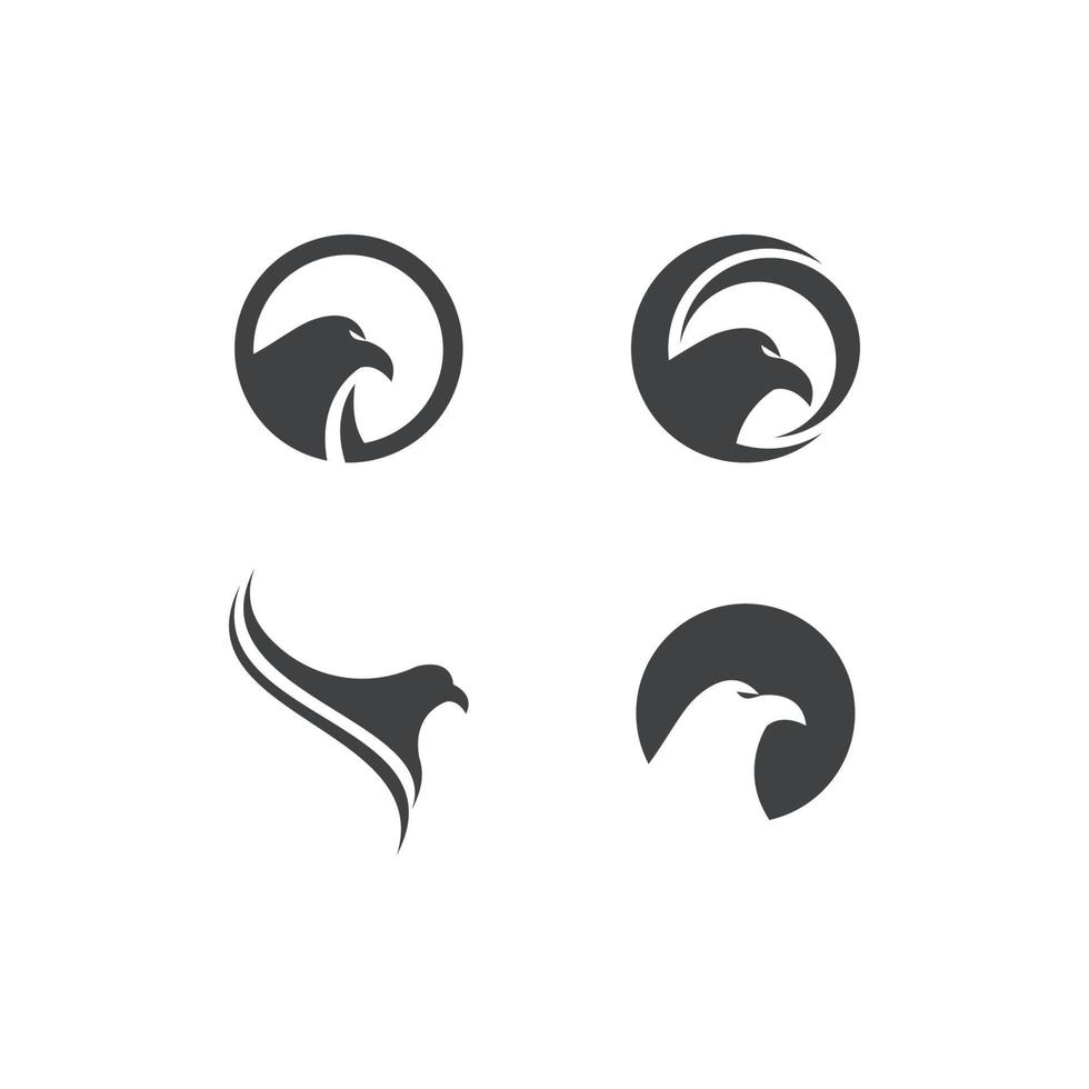 logo di ala di falco vettore