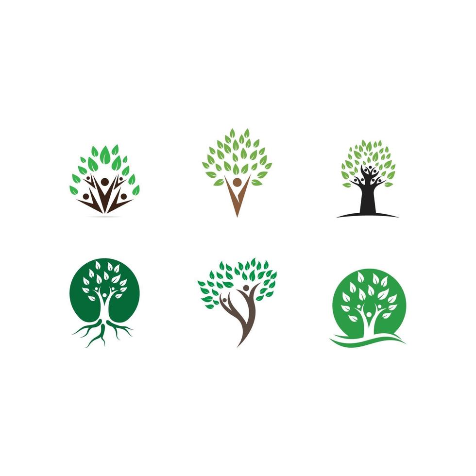 logo dell'albero genealogico vettore