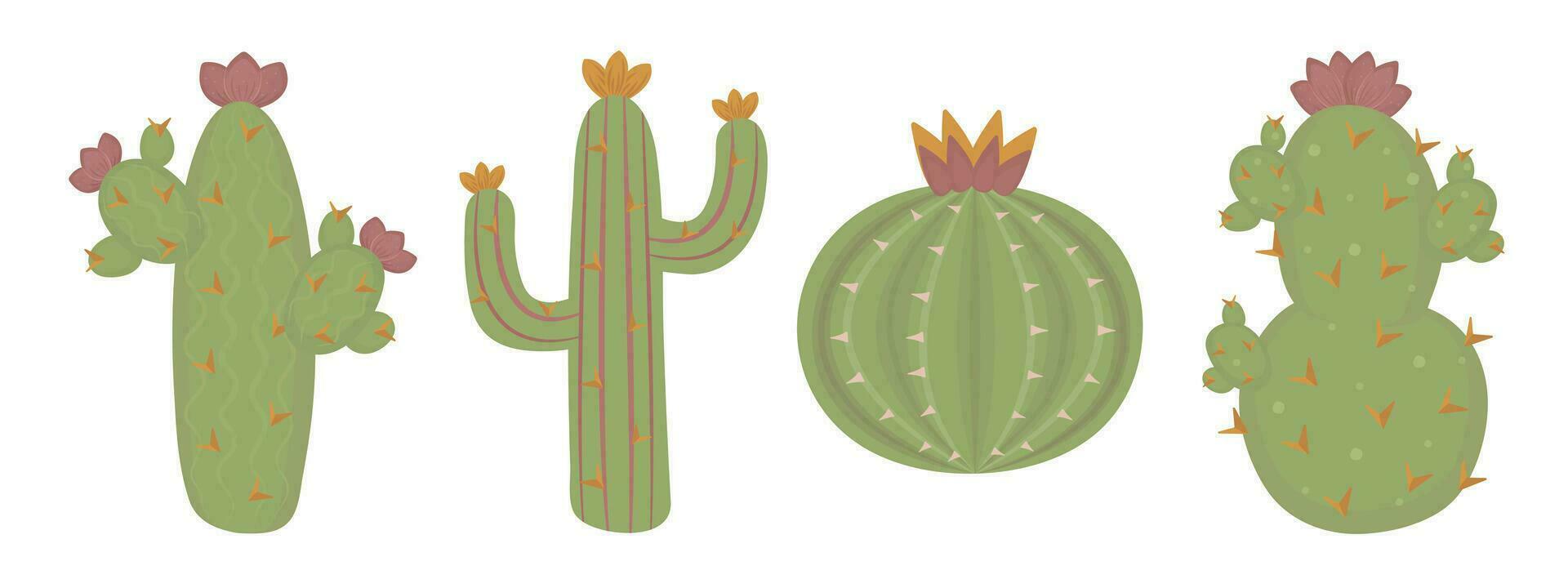 cactus impostato nel boho stile, colore succulento illustrazioni di selvaggio ovest tema vettore