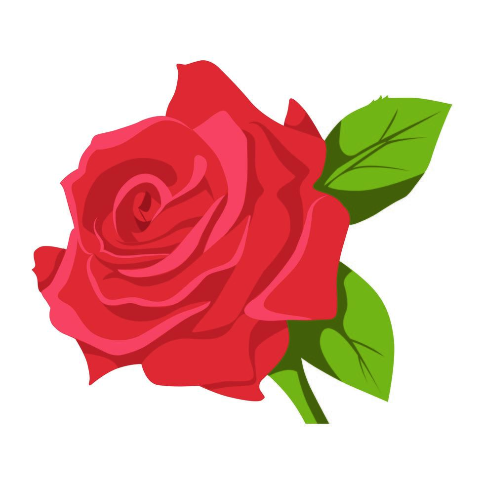 disegno di clipart di colore del fiore di rosa vettore