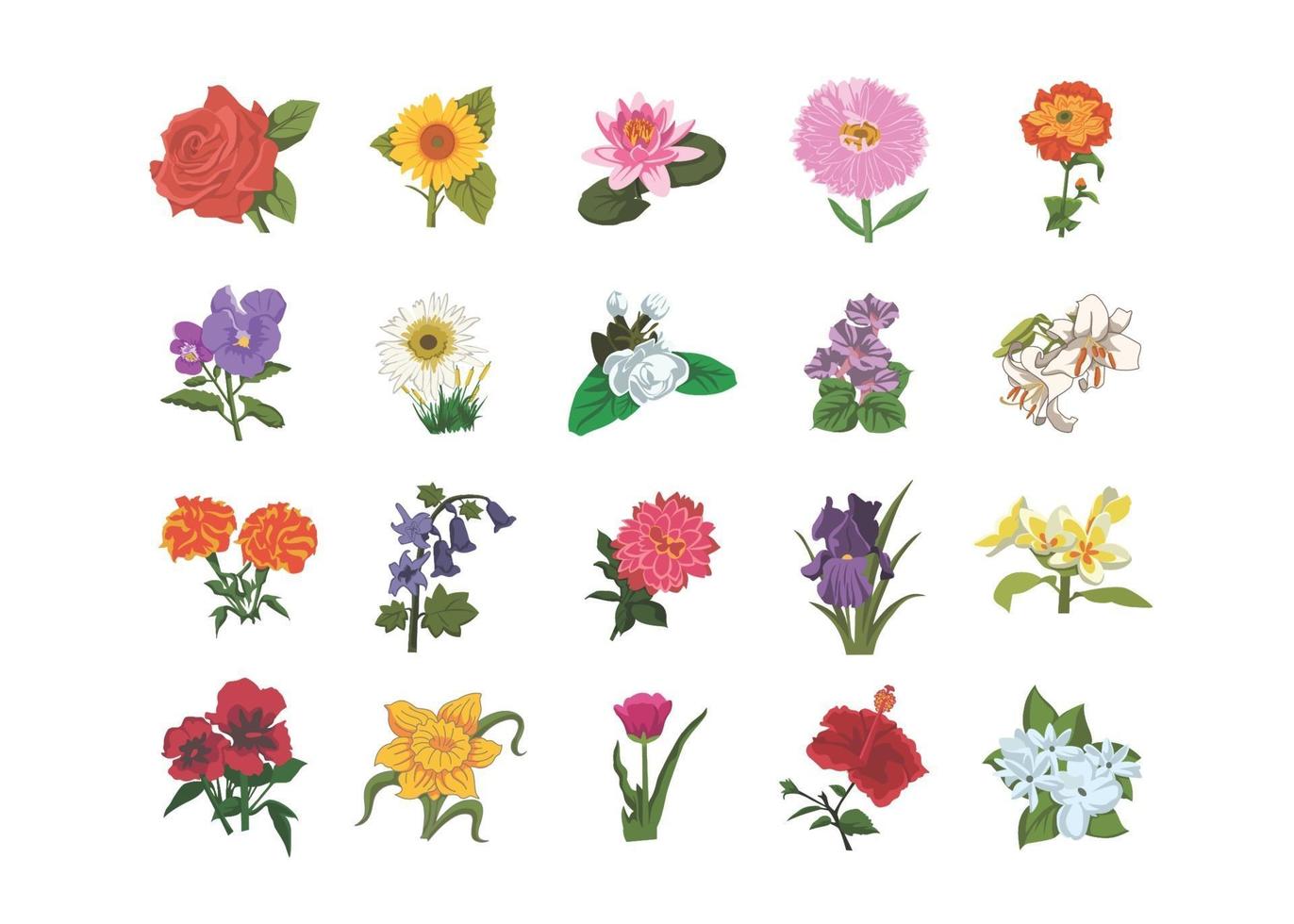 fiori set di illustrazioni per libri per bambini, rosa, girasole, loto vettore