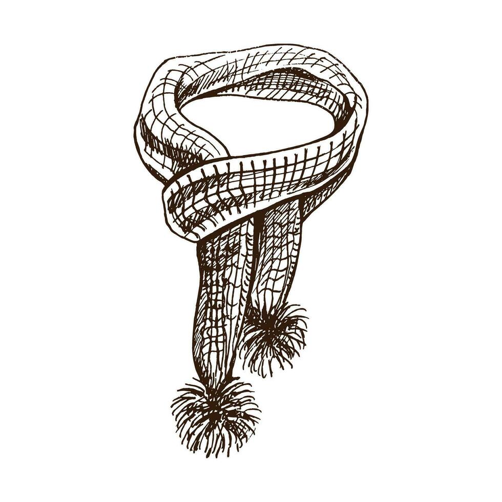 disegnato a mano schizzo di a maglia sciarpa. maglieria, fatto a mano concetto nel Vintage ▾ scarabocchio stile. incisione stile. vettore