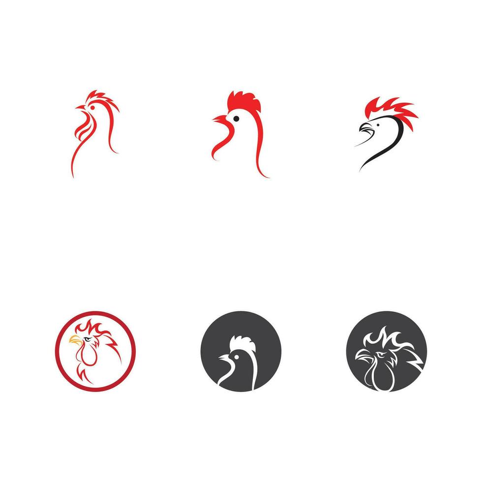 Gallo logo immagini illustrazione design vettore