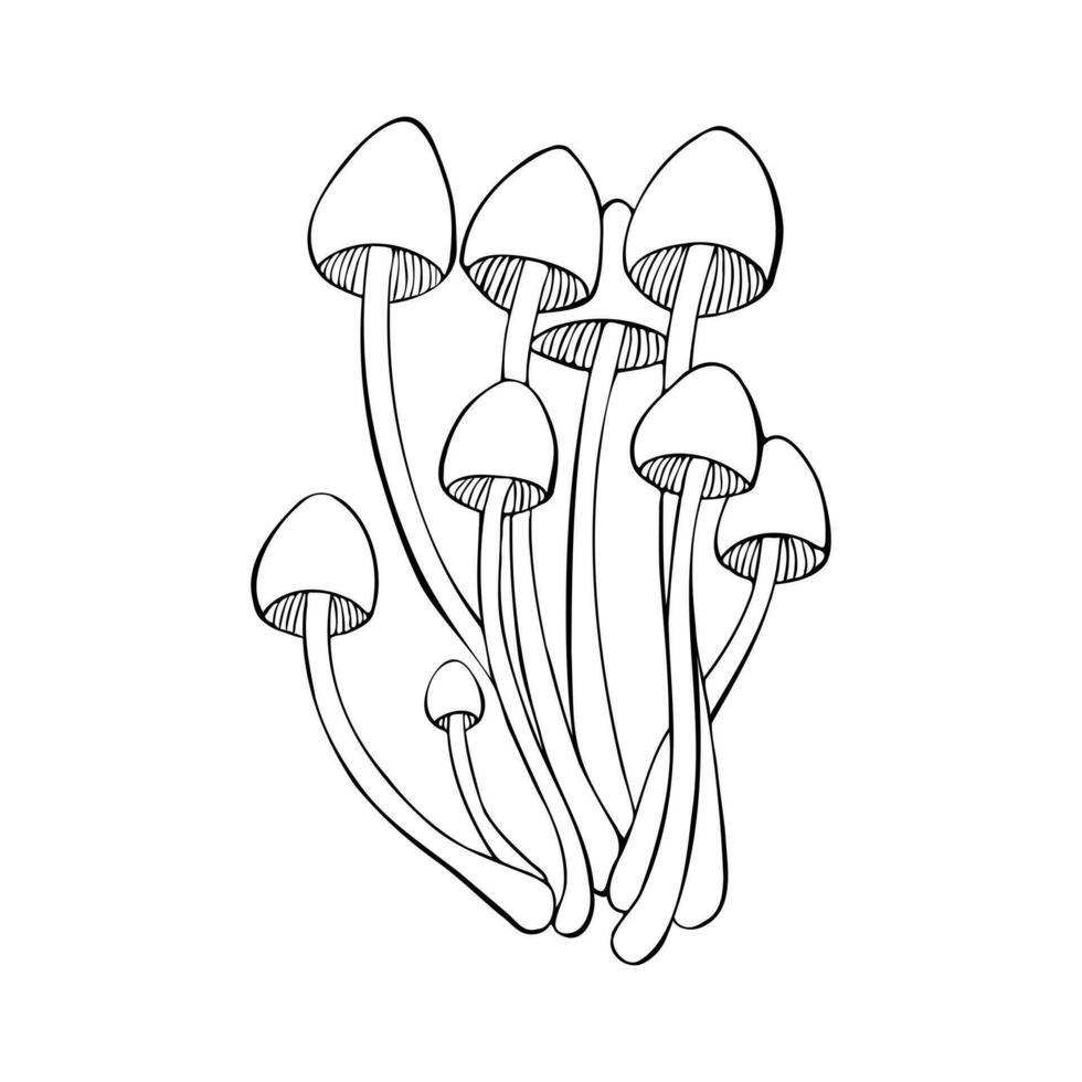 velenoso funghi mycena renati, disegnato a mano scarabocchio schizzo con un' bellissimo berretto, famiglia micenacee. isolato, bianca sfondo. vettore