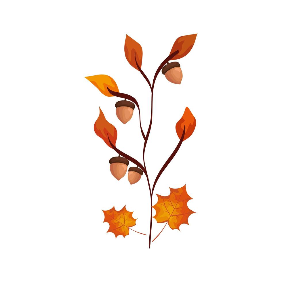 stagione autunnale ramo con foglie e semi vettore