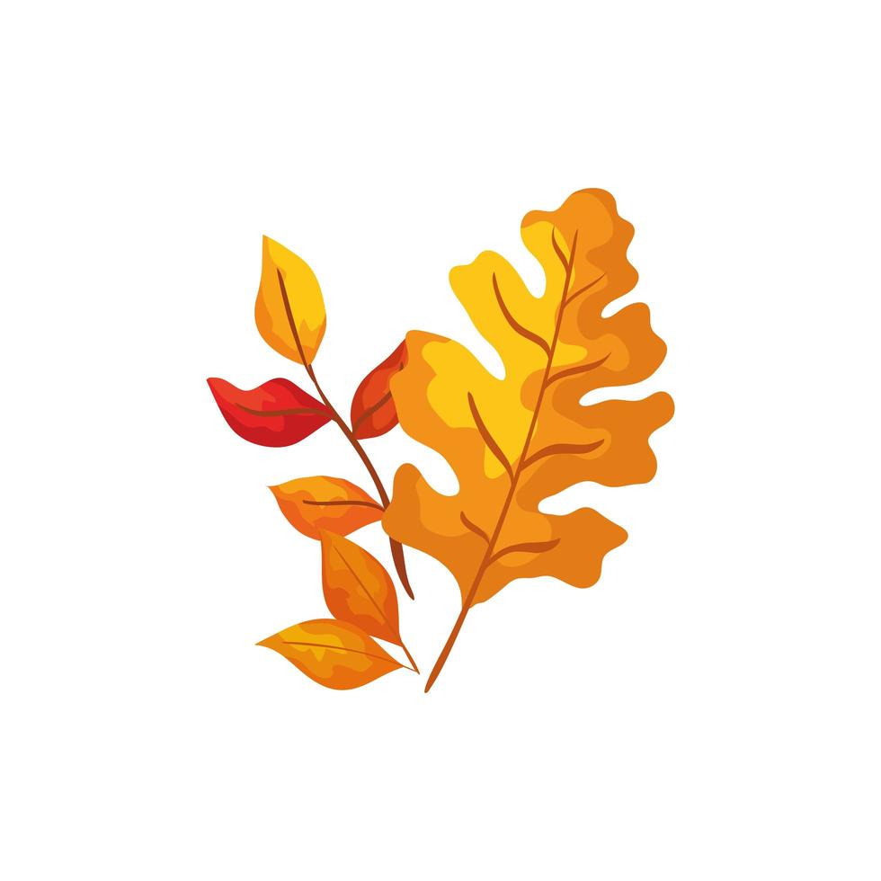 stagione autunnale ramo con foglie vettore