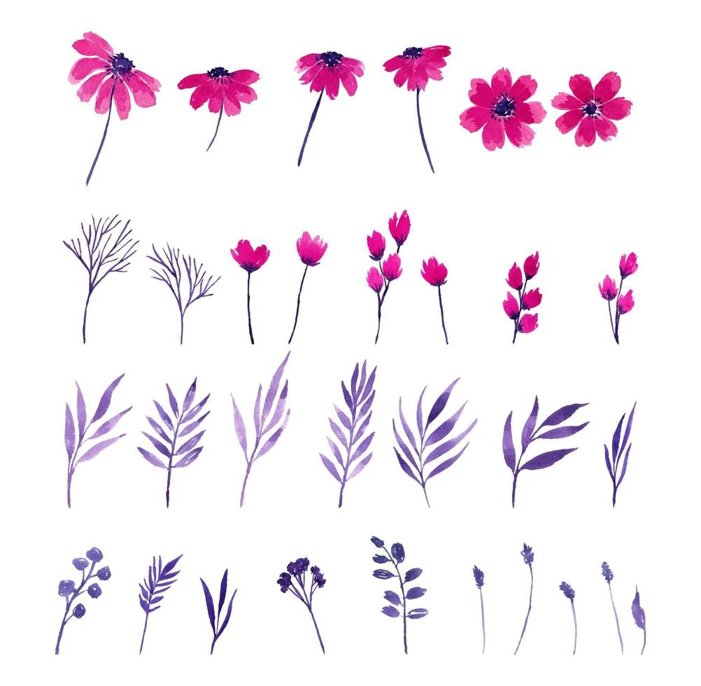 elemento fiore acquerello rosa e viola vettore
