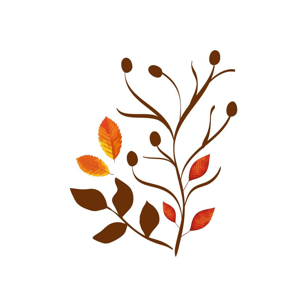 stagione autunnale ramo con foglie vettore