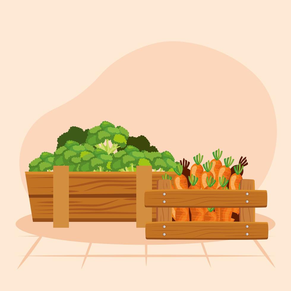 disegno vettoriale di carote e broccoli