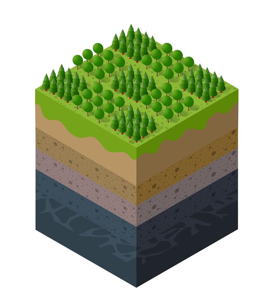 strati del suolo dell'allevamento forestale geologico e sotterraneo vettore