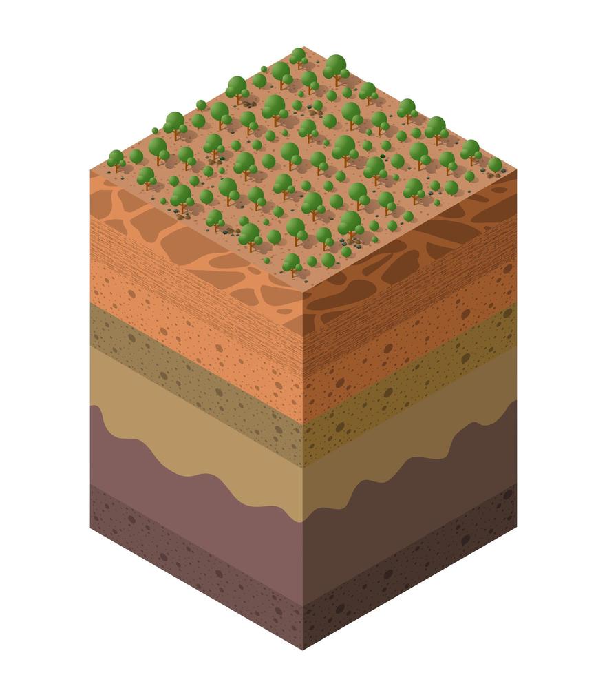 strati del suolo dell'allevamento forestale geologico e sotterraneo vettore