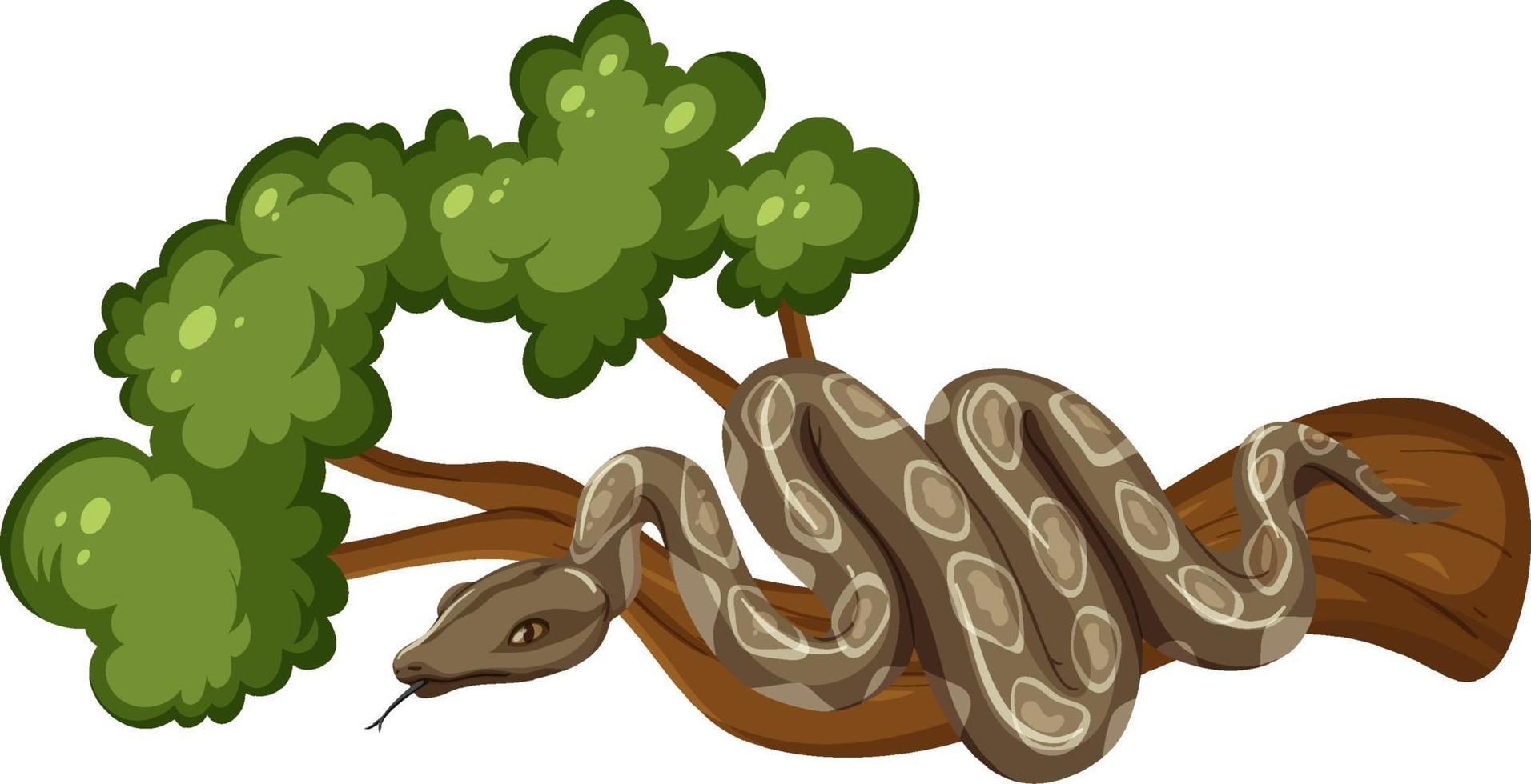 serpente su un ramo isolato su sfondo bianco vettore