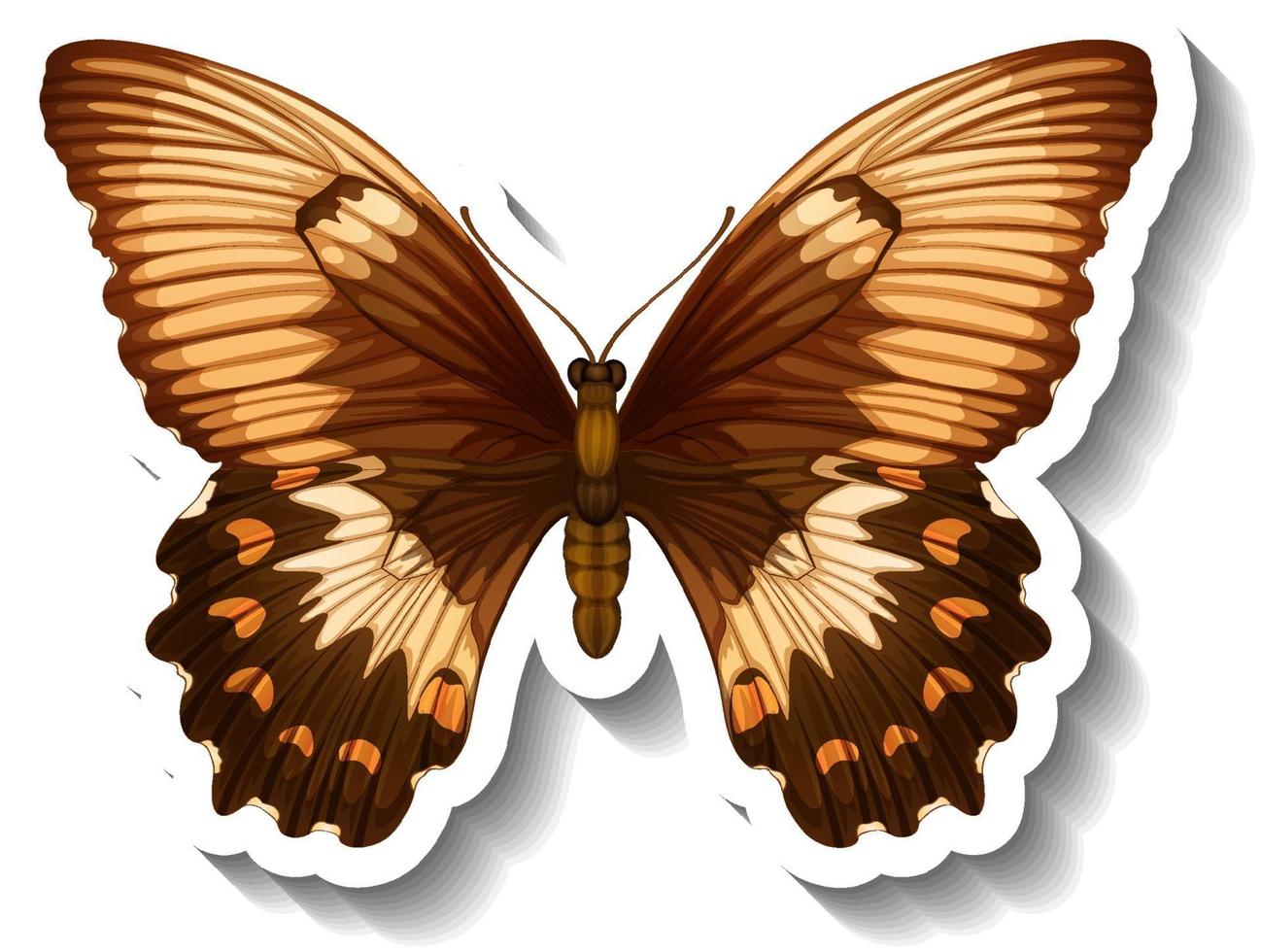 un modello di adesivo con farfalla o falena isolata vettore