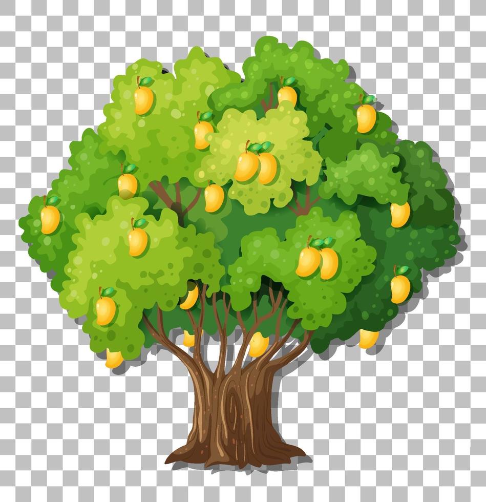 albero di mango isolato vettore