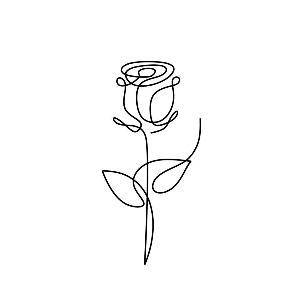 fiore di rosa linea arte vettoriale, illustrazione della pianta minimalista. vettore