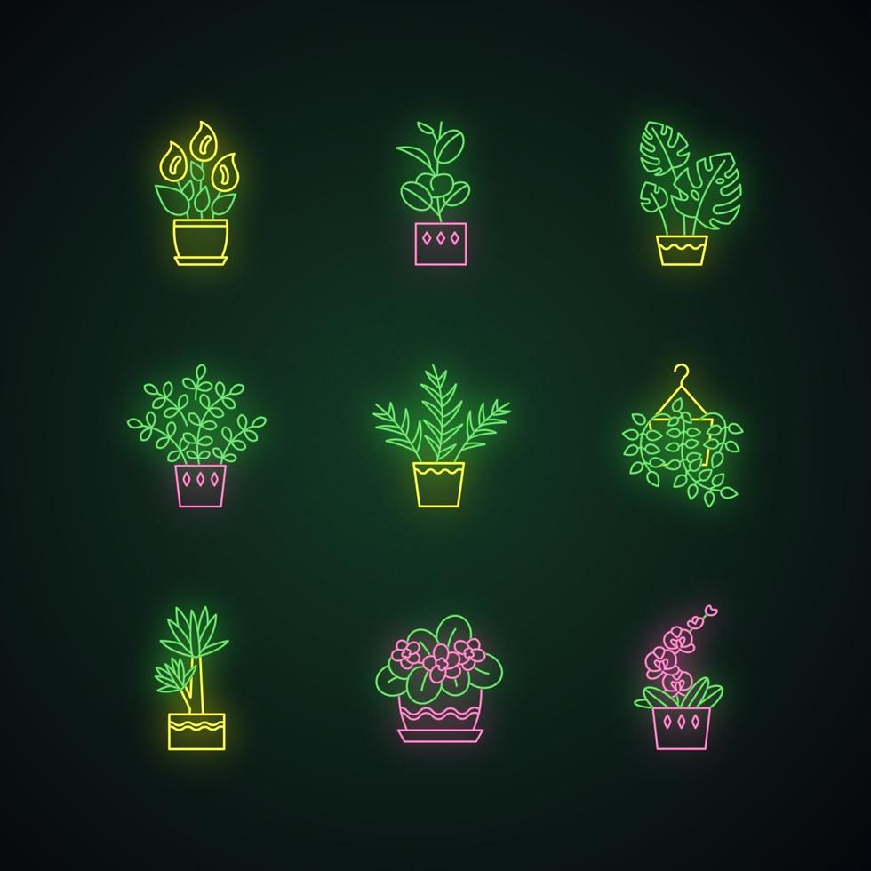 set di icone di luce al neon di piante addomesticate vettore