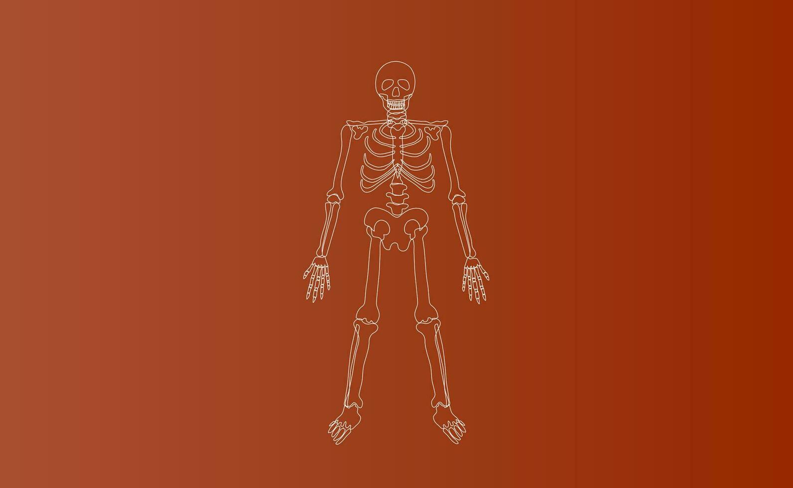 Halloween personaggi di scheletro disegno linea icona.semplice su Marrone isolato sfondo.creativo mano schizzo minimo scena posto per il tuo testo.biologia corpo umano anatomia design vettore illustrazione eps10