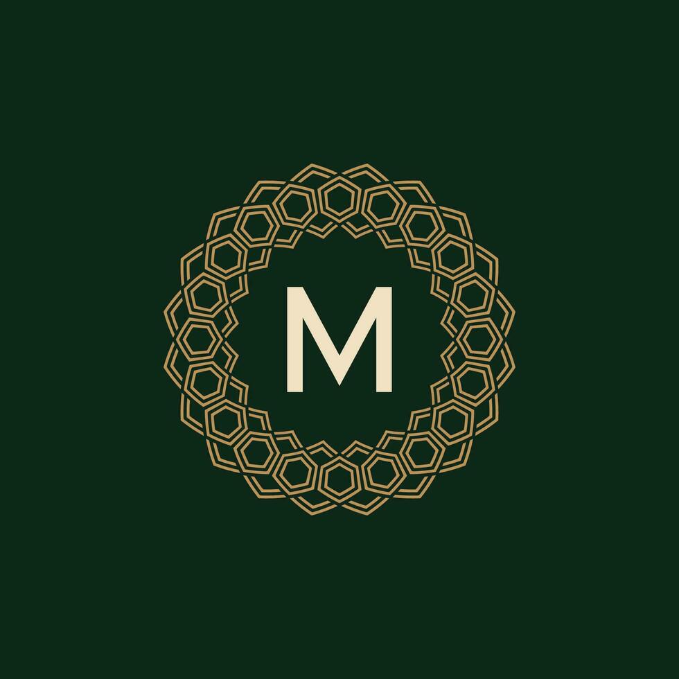 iniziale lettera m ornamentale elegante telaio Linee logo vettore