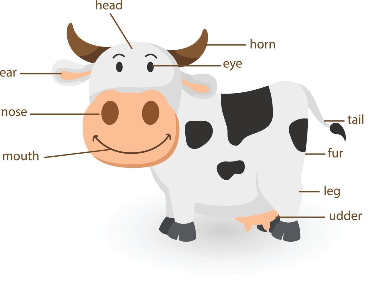 illustrazione del vocabolario della mucca parte del corpo vettore