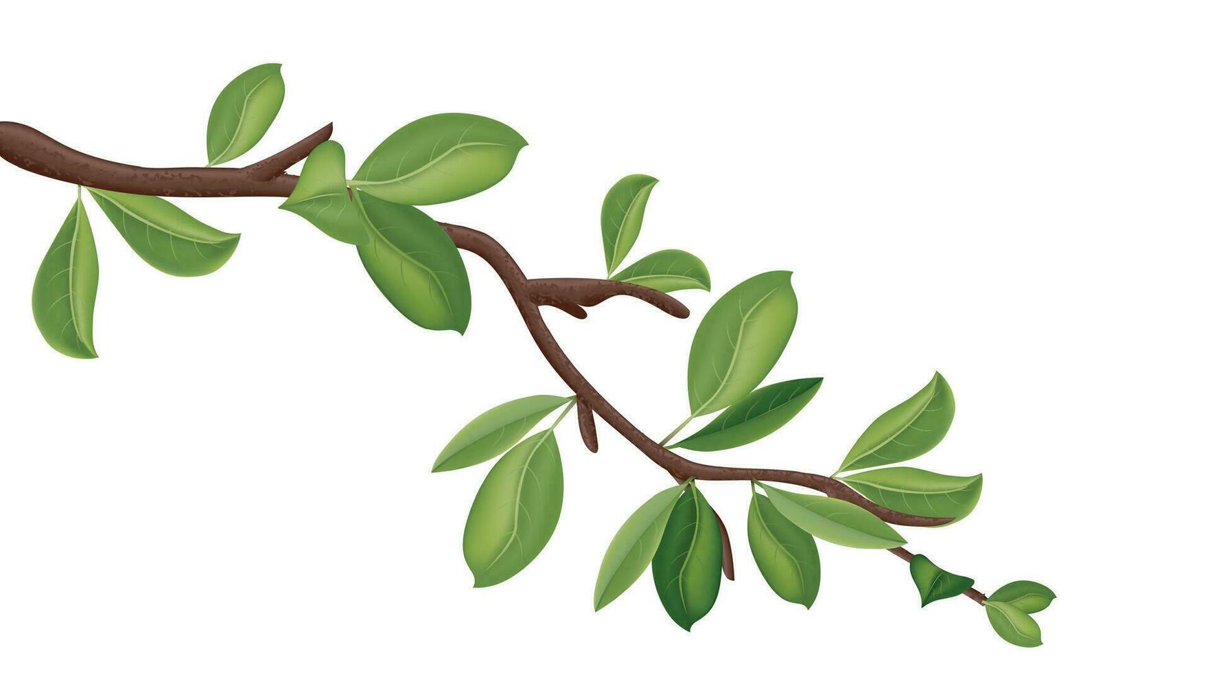 realistico dettagliato 3d albero ramo con verde le foglie. vettore