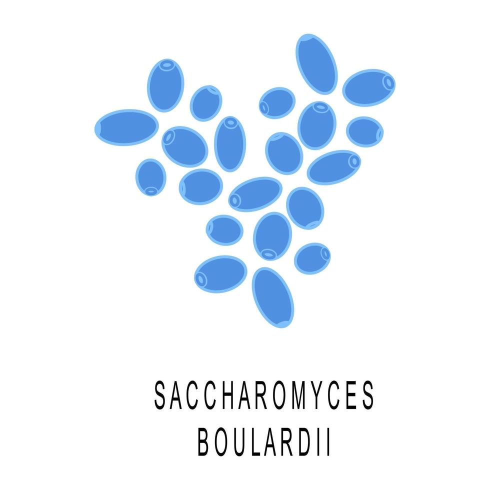 saccharomyces boulardii. probiotici, batteri benefici vettore