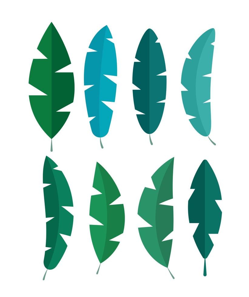 foglie tropicali semplice insieme di raccolta. illustrazione vettoriale