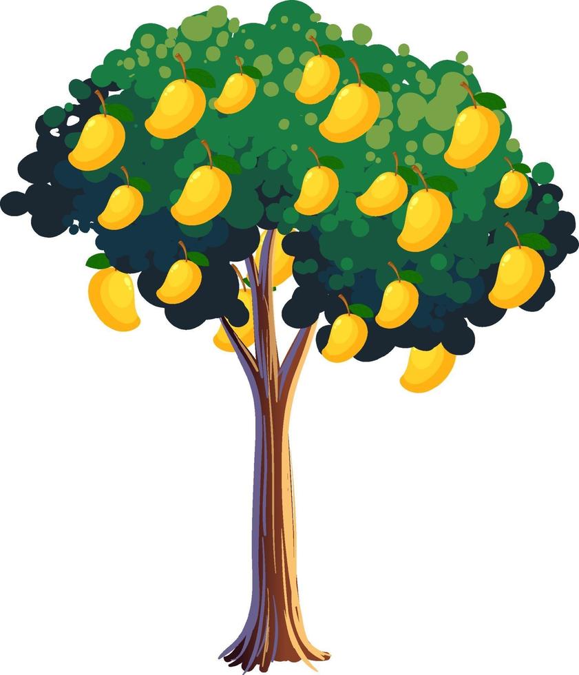 albero di mango giallo isolato su sfondo bianco vettore