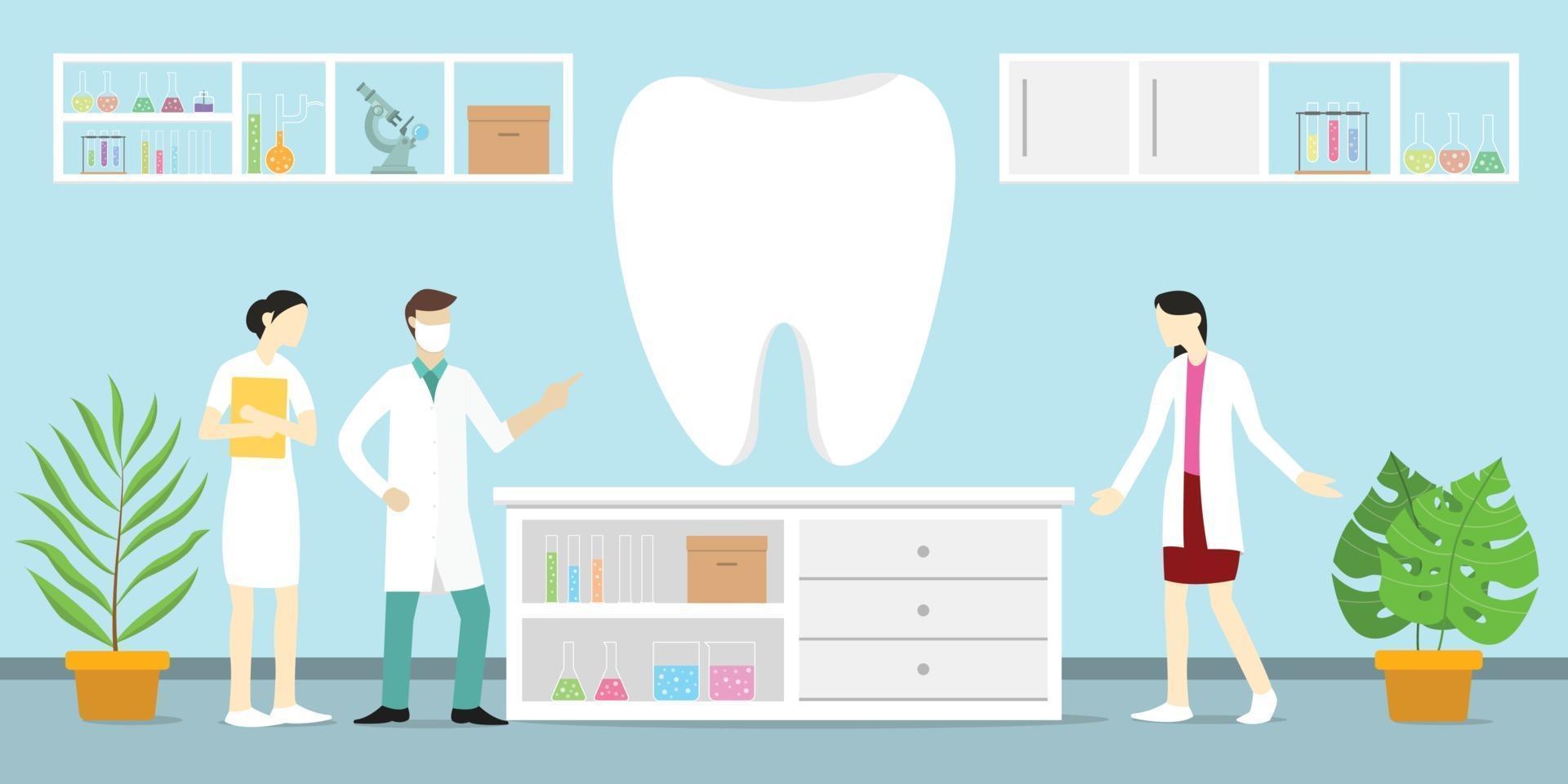 analisi scientifica dell'anatomia dentale dei denti o dei denti umani vettore