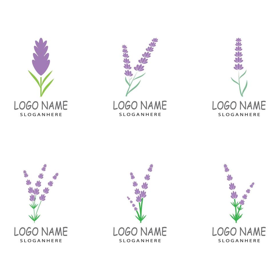 lavanda logo modello simbolo vettore natura