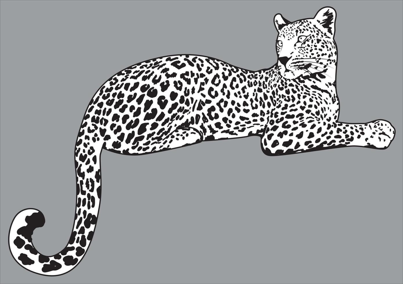 illustrazione dettagliata di vettore del leopardo. disegno giaguaro