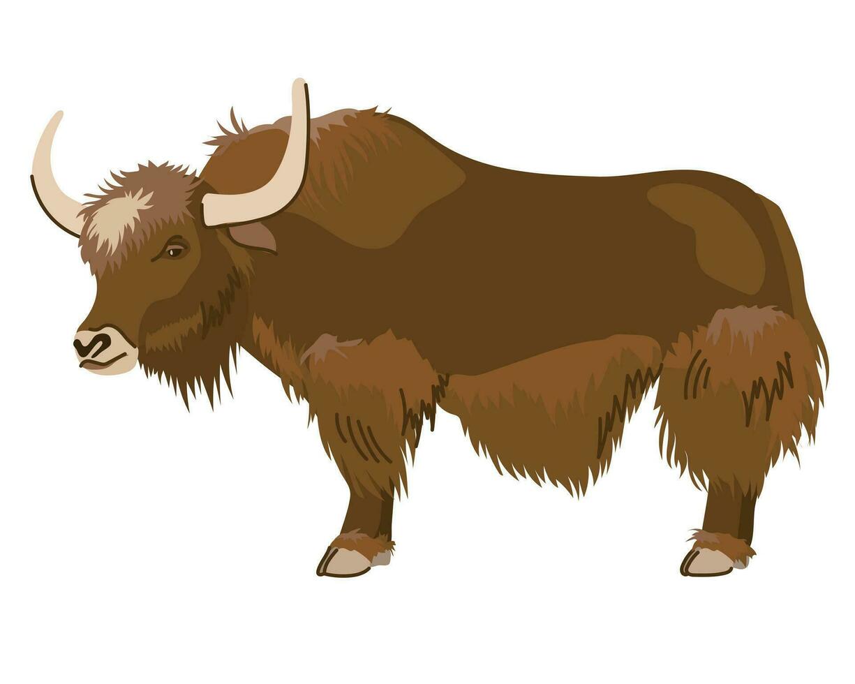 un' Marrone yak con un' lungo cappotto. un' animale domestico nel Nepal e Tibet. vettore, cartone animato stile. latteria bestiame, grande mucca. vettore