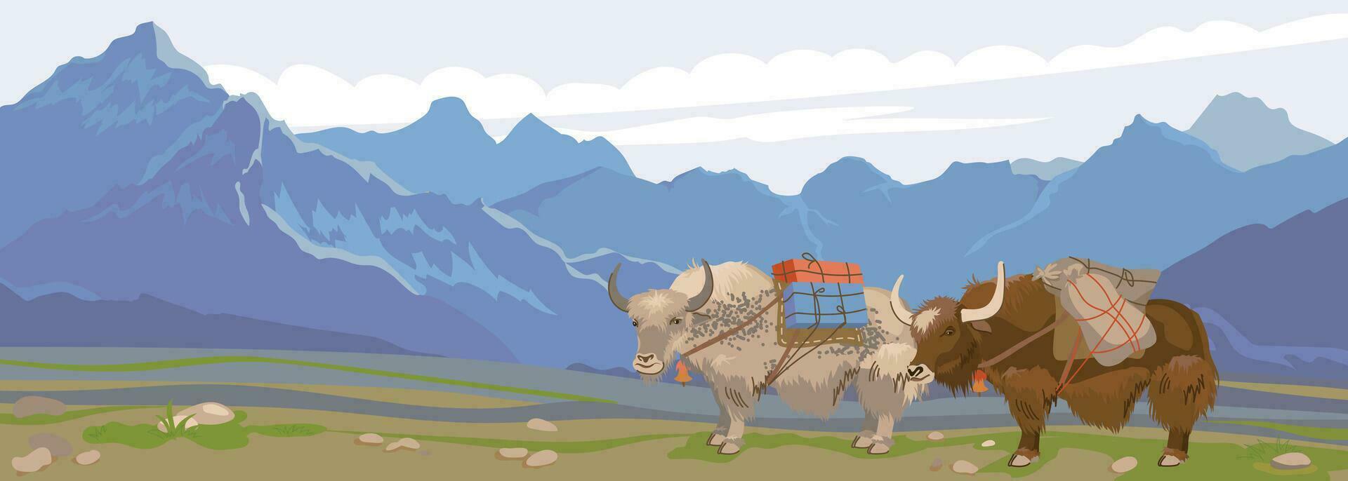 himalayano yaks con un' caricare su loro indietro nel un' bellissimo paesaggio. vettore illustrazione, piatto stile. montagna orizzontale paesaggio di Nepal. animali domestici nel Mongolia e Tibet per trasporto merce.