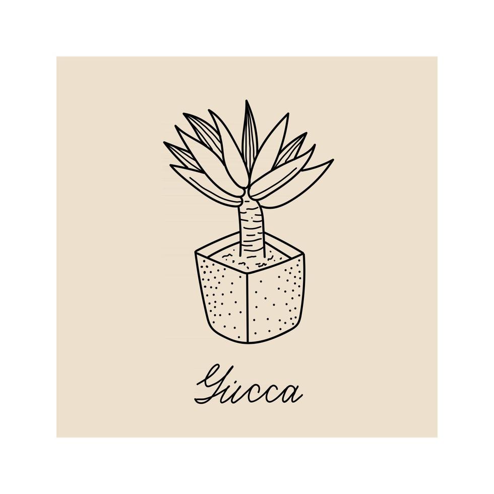 illustrazione disegnata a mano della pianta yucca vettore