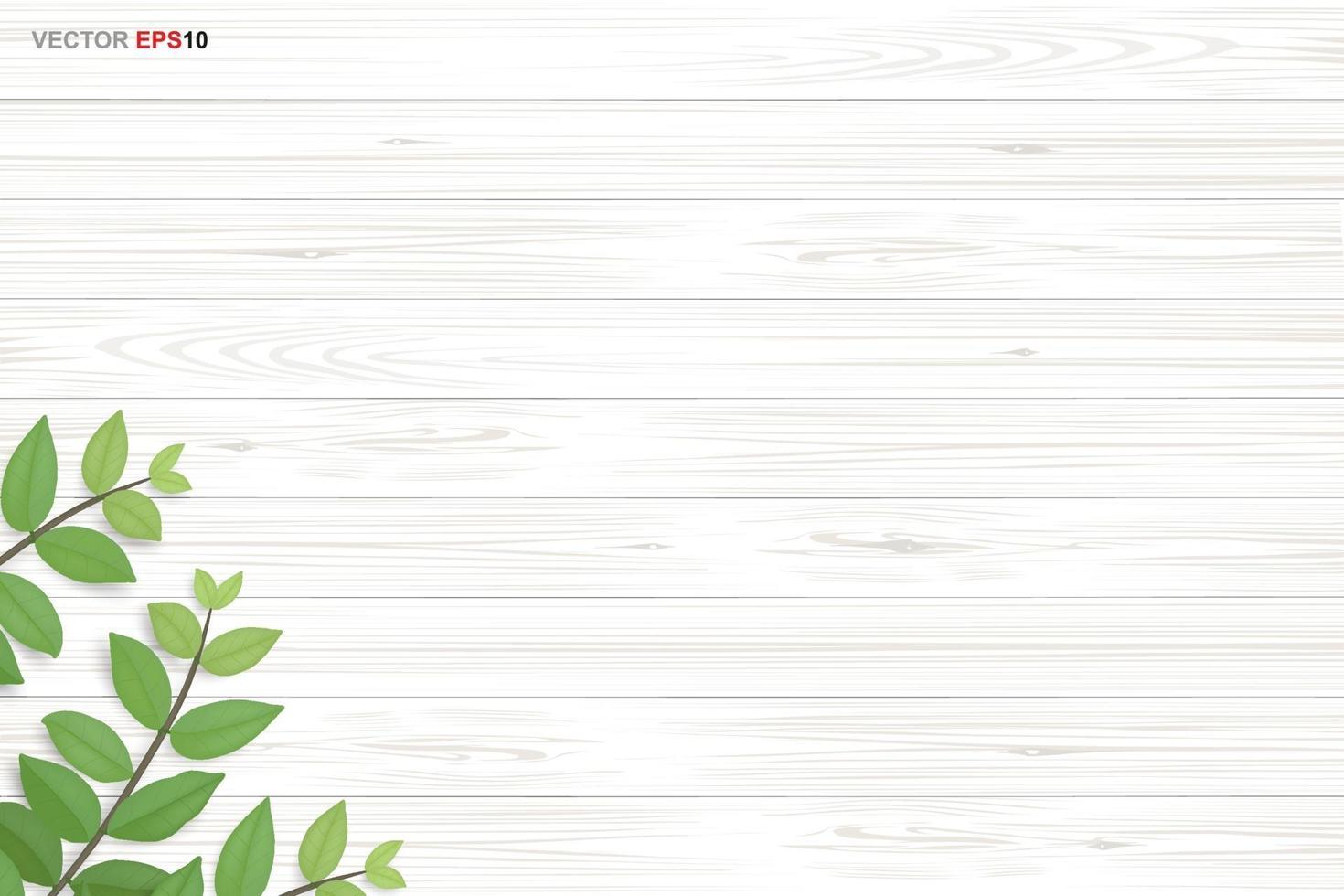 sfondo texture legno con foglie verdi. illustrazione vettoriale. vettore